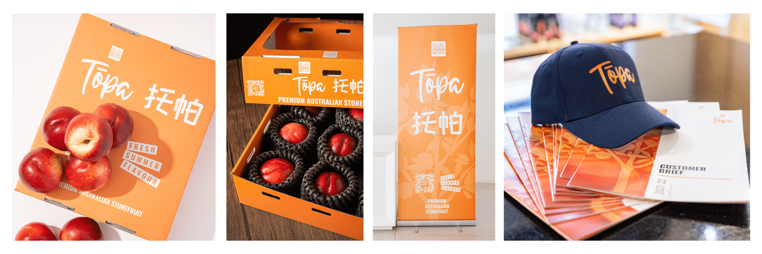 1489296 Topa Case Study web