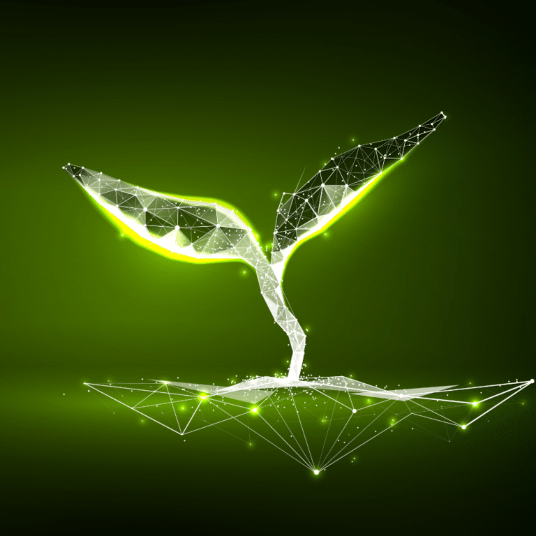 Innovar 3